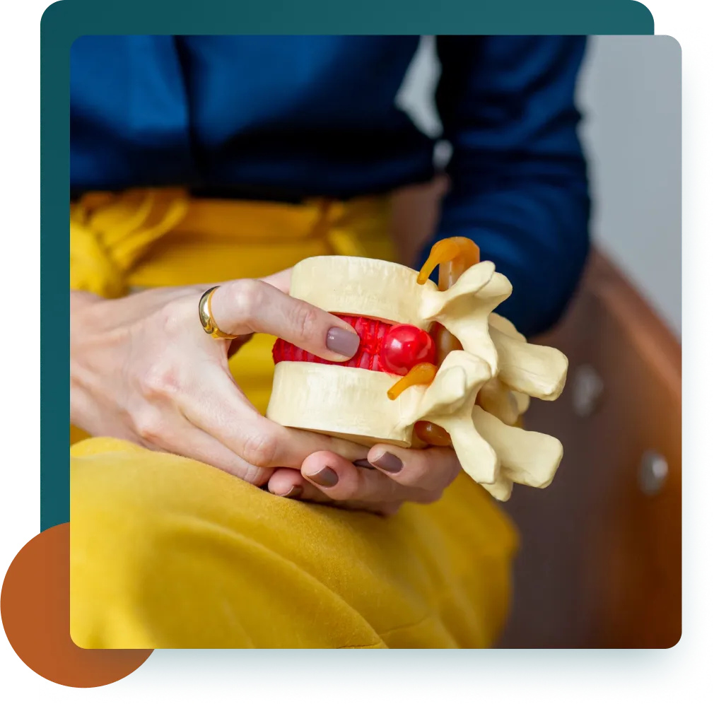 imagem de mãos segurando um modelo anatômico de uma vertebra da coluna